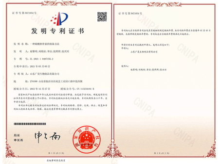 patent for invention