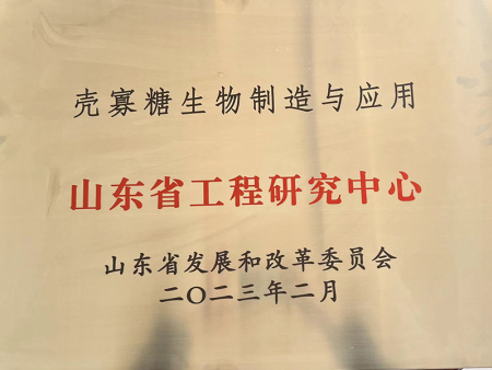 Shandong Engineering Research Center