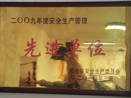 2009安全生产先进单位