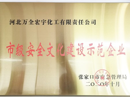 202010市级安全文化建设示范企业