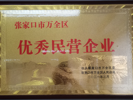 202103优秀民营企业