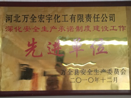 201012深化安全生产承诺先进单位