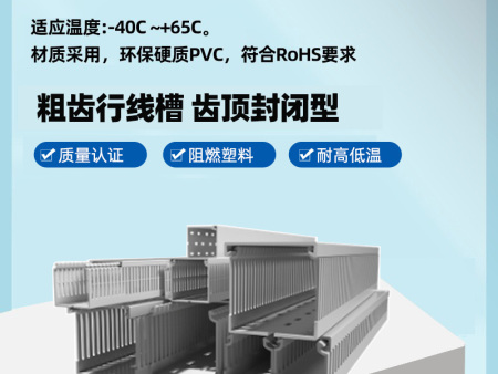 源头厂家 粗齿行线槽 瑞联电气RXC2 行线槽 塑料线槽 60A系列