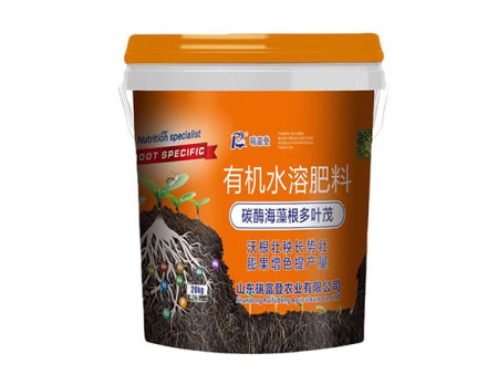 碳酶海藻根多叶茂