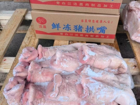 猪拱嘴