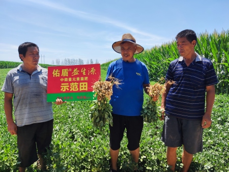 花生長(zhǎng)得好不好？對(duì)比就知道！