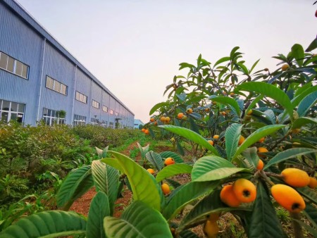 d6368021-3577-4f0e-8fc4-2b3424c41c9c d6368021-3577-4f0e-8fc4-2b3424c41c9c