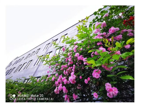 abce7555-6bc3-4e91-9edc-f7373d9a171f abce7555-6bc3-4e91-9edc-f7373d9a171f