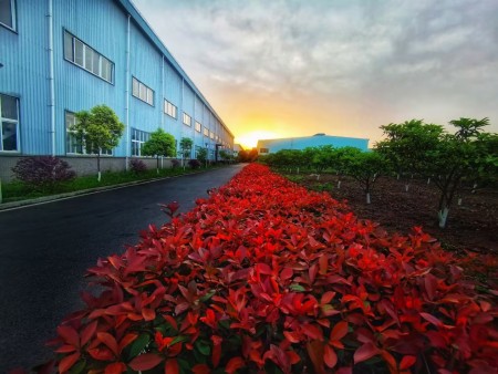 58ca1dc9-1a14-4f7e-b168-4874f644f8e6 58ca1dc9-1a14-4f7e-b168-4874f644f8e6