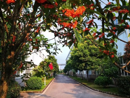 716399f1-9692-4e85-b3a4-96da0570fa8d 716399f1-9692-4e85-b3a4-96da0570fa8d