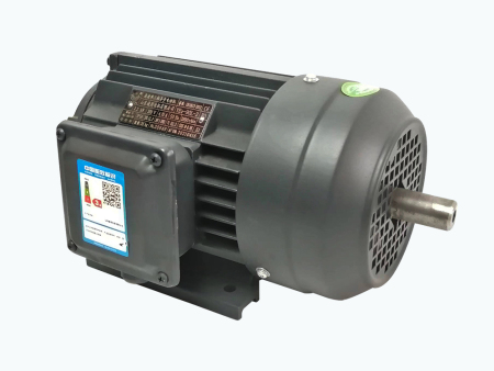 雙出軸三相異步電機