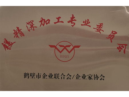 鎂精深加工專業(yè)委員會(huì)