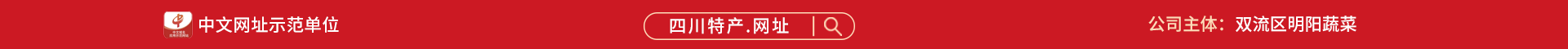 域名