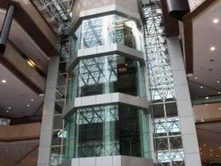 烟台家用电梯 烟台家用电梯安装