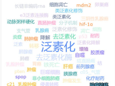 国自然热点-蛋白质翻译后修饰（泛素化修饰）