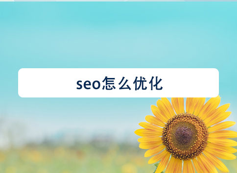 seo怎么优化?