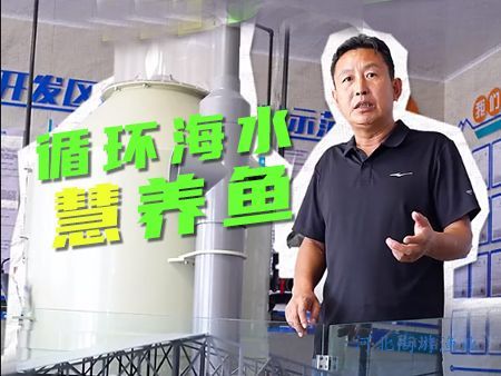 智慧养殖，循环海水，“慧”养鱼！