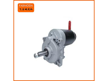 斜齒輪代步車(chē)減速機(jī)