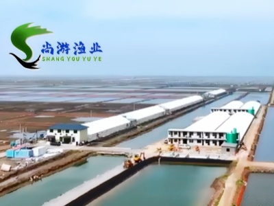 ºÓ±±J9¾ÅÓλáÓæÒµ¡¾¹ÙÍø¡¿|ÓæÒµ¹¤³§»¯ÑøÖ³É豸|Ë®²ú¸ßÃܶÈÑøÖ³|ÓæÒµÑøÖ³¼¼ÊõЧÀÍ-ÆóÒµÁªÏµµç»°£º13703380777£¨ÌÆ×Ü£©