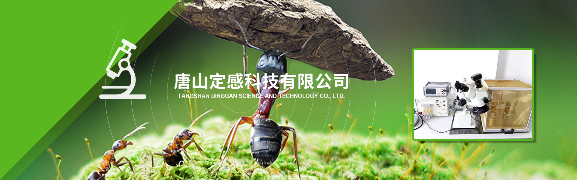 公司简介
