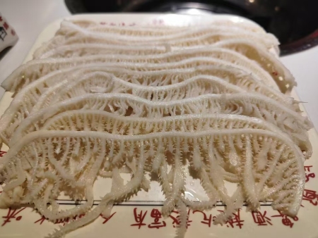 毛肚