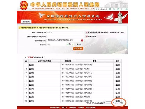 全国法院被执行人信息查询网