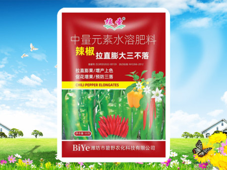辣椒拉直膨大三不落