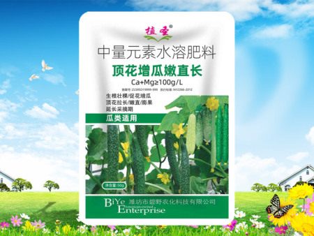 顶花增瓜嫩直长