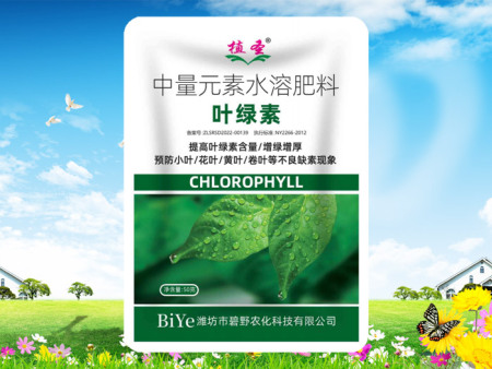 叶绿素