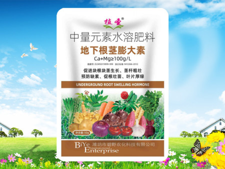 地下根茎膨大素