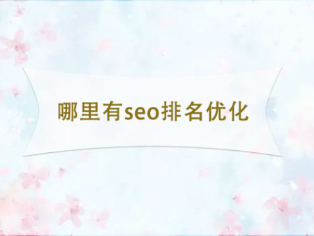 哪里有seo排名优化?