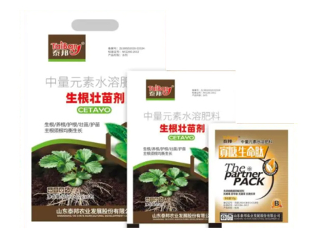 生根壮苗剂