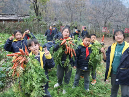 2024年下半年第十二批三百多名小营员研学综合实践教育活动