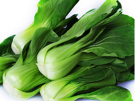 油菜