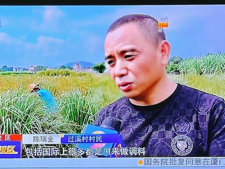 茗琦香接受采访