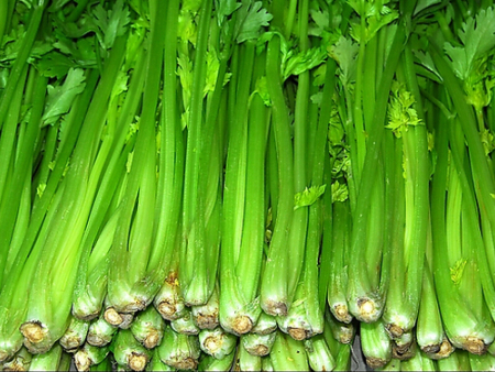 芹菜