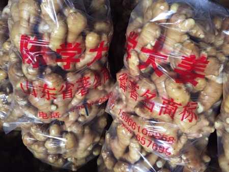 陈学大姜