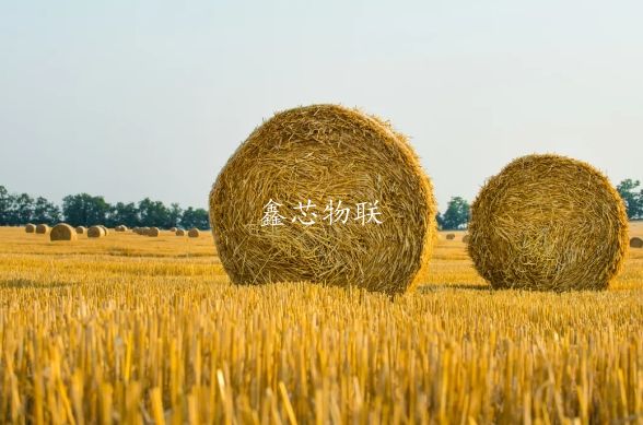 【世界農(nóng)業(yè)案例】法國(guó)農(nóng)業(yè)生態(tài)轉(zhuǎn)型與秸稈還田