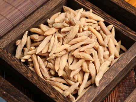 麦冬