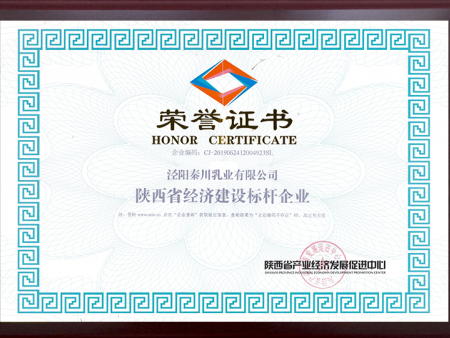 陕西省经济建设标杆企业