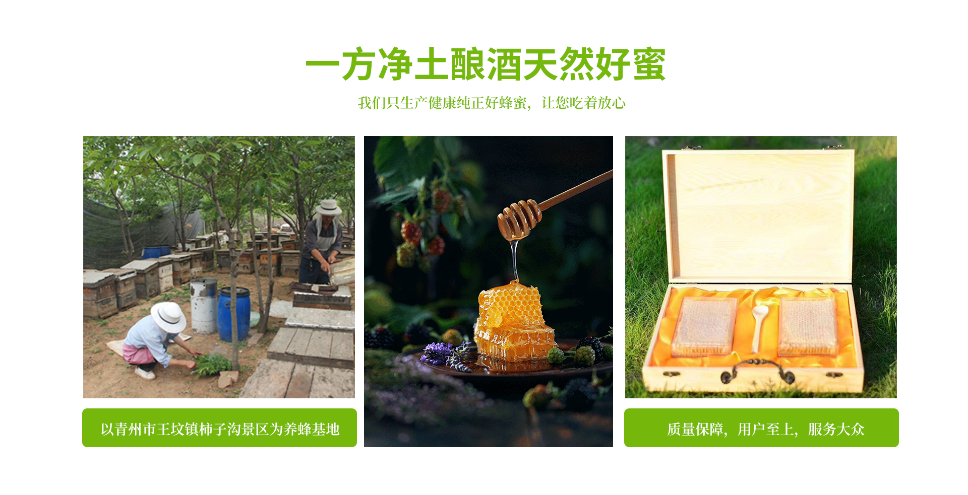 青州市民生园蜂业有限公司