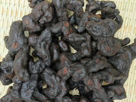 即食黄精