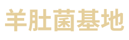 绵阳市游仙区国春芦笋专业合作社