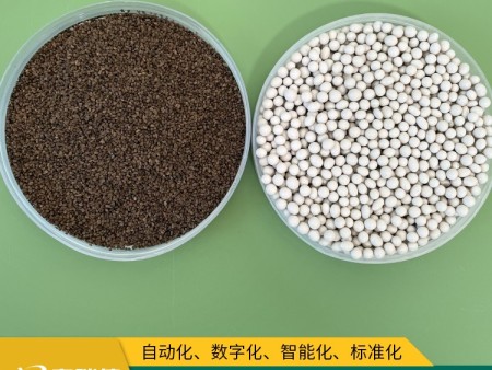 芹菜种子丸粒化 从小种子到大丰收