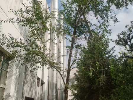 微信图片_20250109110356