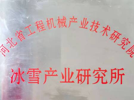 省冰雪产业研究所