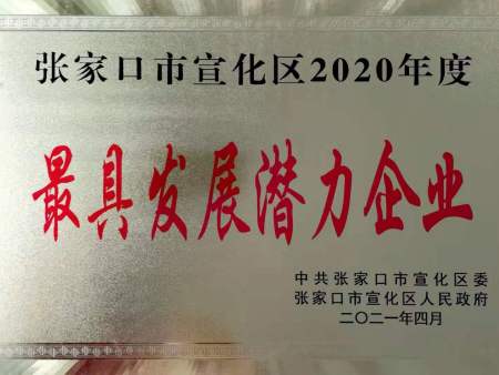 最具发展潜力企业