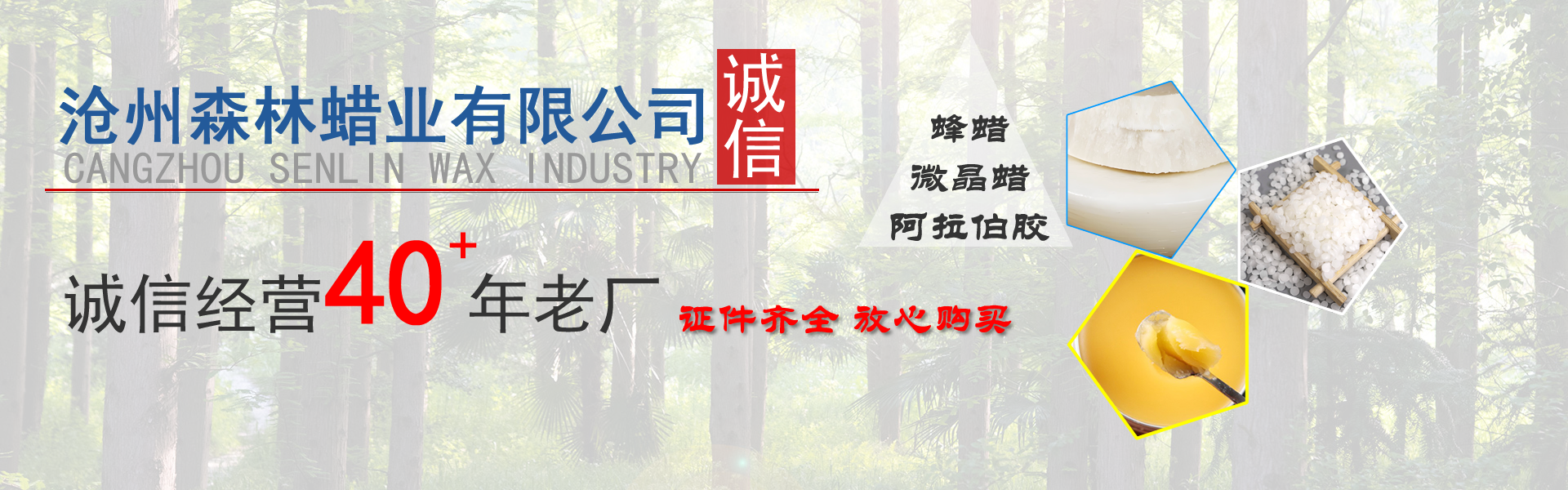 沧州森林蜡业公司荣誉证书
