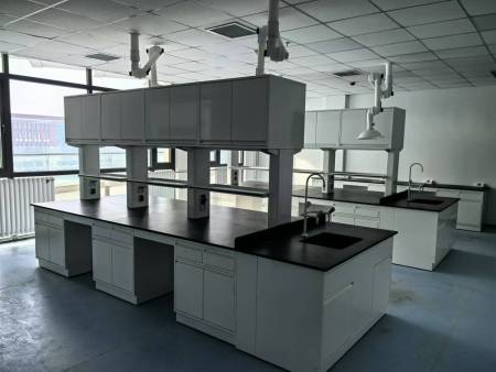 全钢中央台带水＋试剂架+全钢吊柜+万向抽气罩