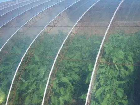 大棚膜